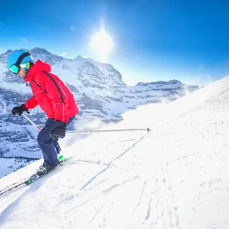 Апартаменты Parkareal 403 By Interhome Bolgen