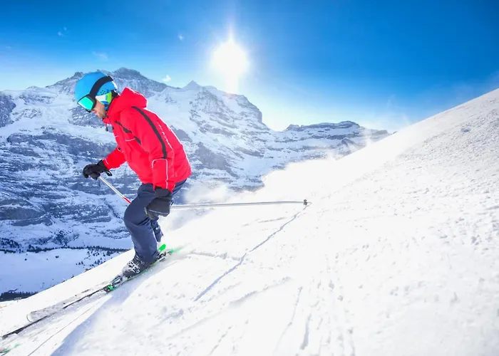 Apartmán Parkareal 403 By Interhome Bolgen